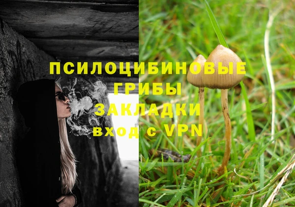 PSILOCYBIN Богородицк