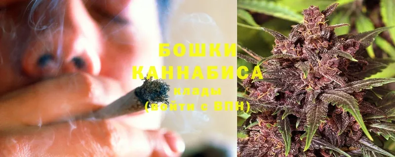 Конопля Ganja  Никольское 